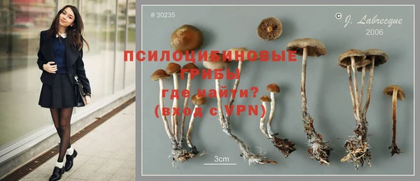 тгк Абинск