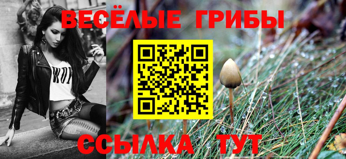 Галлюциногенные грибы мицелий  Вход с VPN  Кумертау 