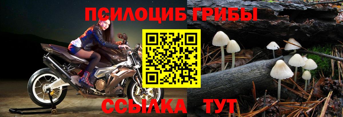 Псилоцибиновые грибы MAGIC MUSHROOMS Кумертау